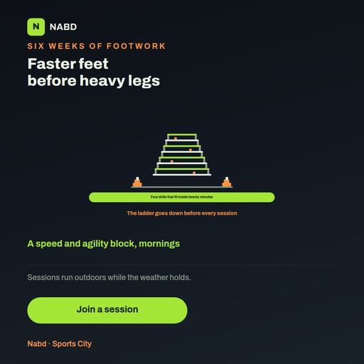 Agility Ladder