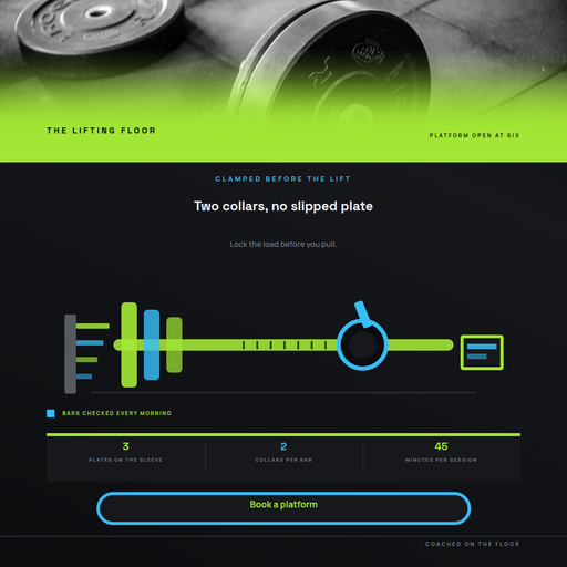Barbell Collar