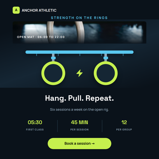 Gym Rings