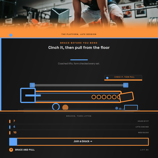 Lifting Belt