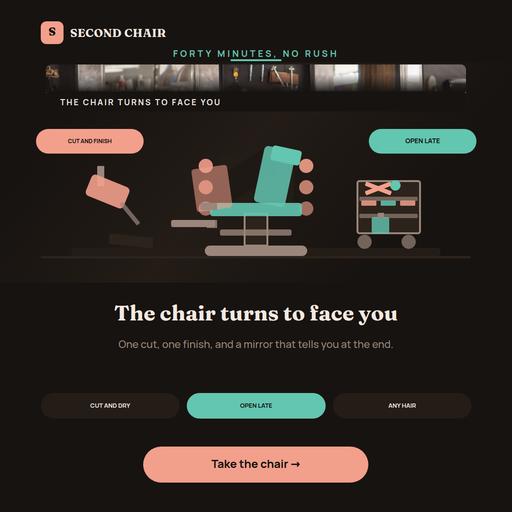 Salon Chair