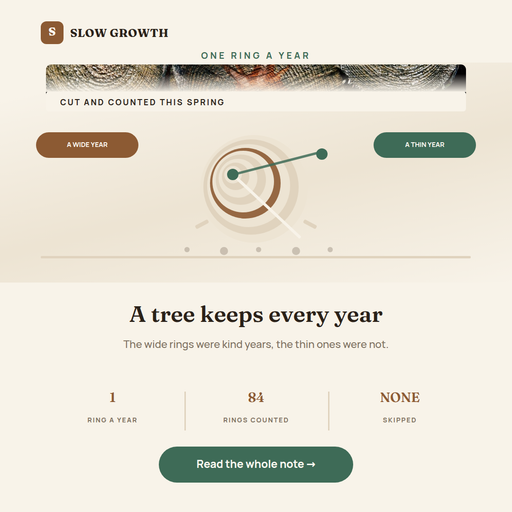 Tree Rings