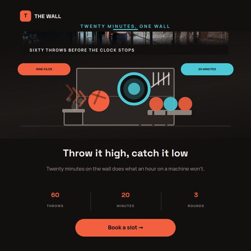 Wall Ball Target